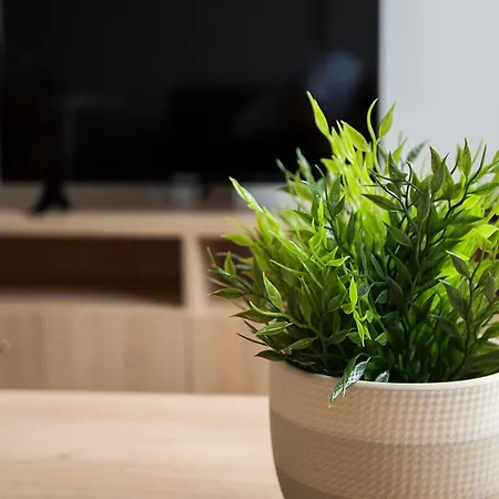 Court فندق باناجيريشت