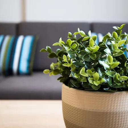 Hotel Court Panagyurishte