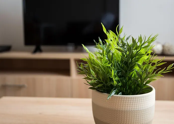 Court Отель Панагюриште