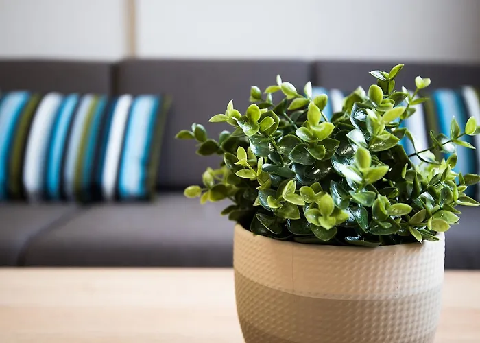 Отель Court Панагюриште